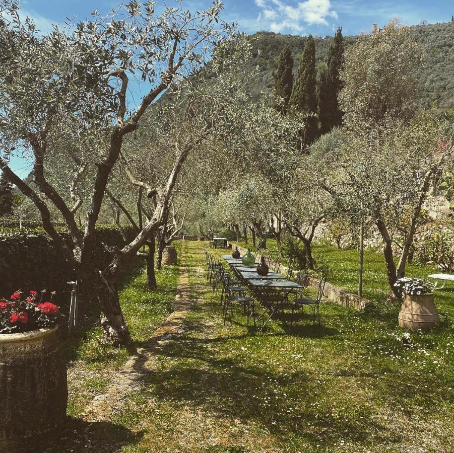Sotto Il Cielo Di Toscana Appartamenti In Tenuta Only Adults No Pet Camaiore Ngoại thất bức ảnh