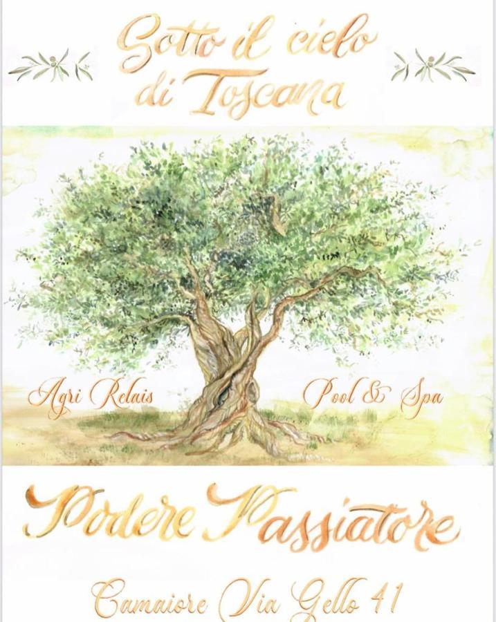 Sotto Il Cielo Di Toscana Appartamenti In Tenuta Only Adults No Pet Camaiore Ngoại thất bức ảnh