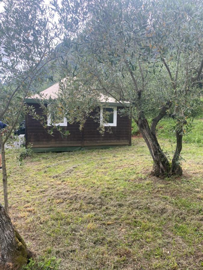 Sotto Il Cielo Di Toscana Appartamenti In Tenuta Only Adults No Pet Camaiore Ngoại thất bức ảnh