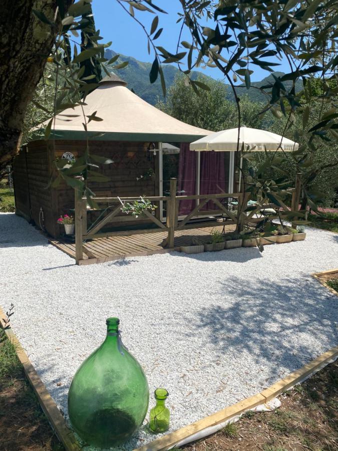 Sotto Il Cielo Di Toscana Appartamenti In Tenuta Only Adults No Pet Camaiore Ngoại thất bức ảnh